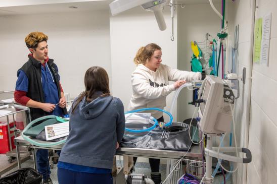 A group of veterinary students standing at a surgical table with anesthesia equipment in a lab.