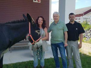 A Donkey, named Hollywood, with owner, Karen Reid together with Dr. Carl Kirker-Head and farrier and adjunct lecturer, Mr. Eric John