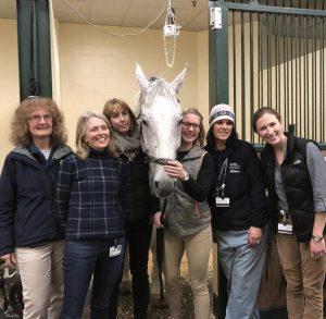 Drs. Daniela Bedenice, Melissa Mazan, and other members of the Tufts Equine Center that cared for Conan, the argentinian warmblood horse
