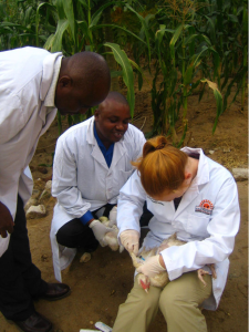Deborah Thomson V12, president and founder of One Health Lessons, in Africa treating a chicken with colleagues.