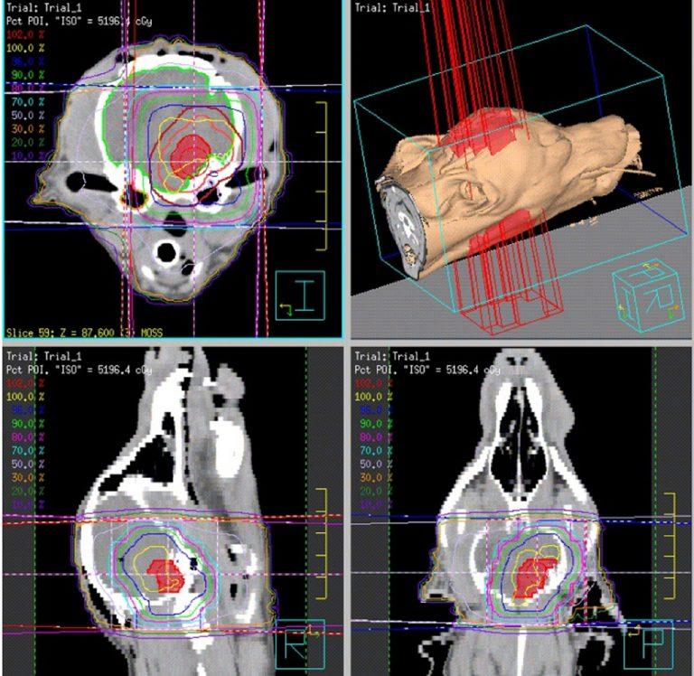 Lola’s 3D-conformal radiation therapy plan