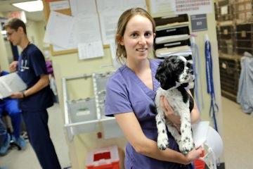 Student at Lerner Spay/Neuter Clinic holding a dog.