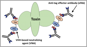 VNA Diagram