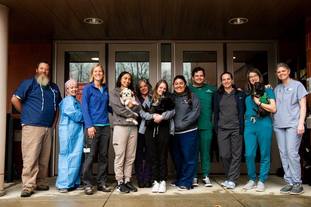 Cummings faculty, students and clinic staff pose for a group photo at Tufts at Tech