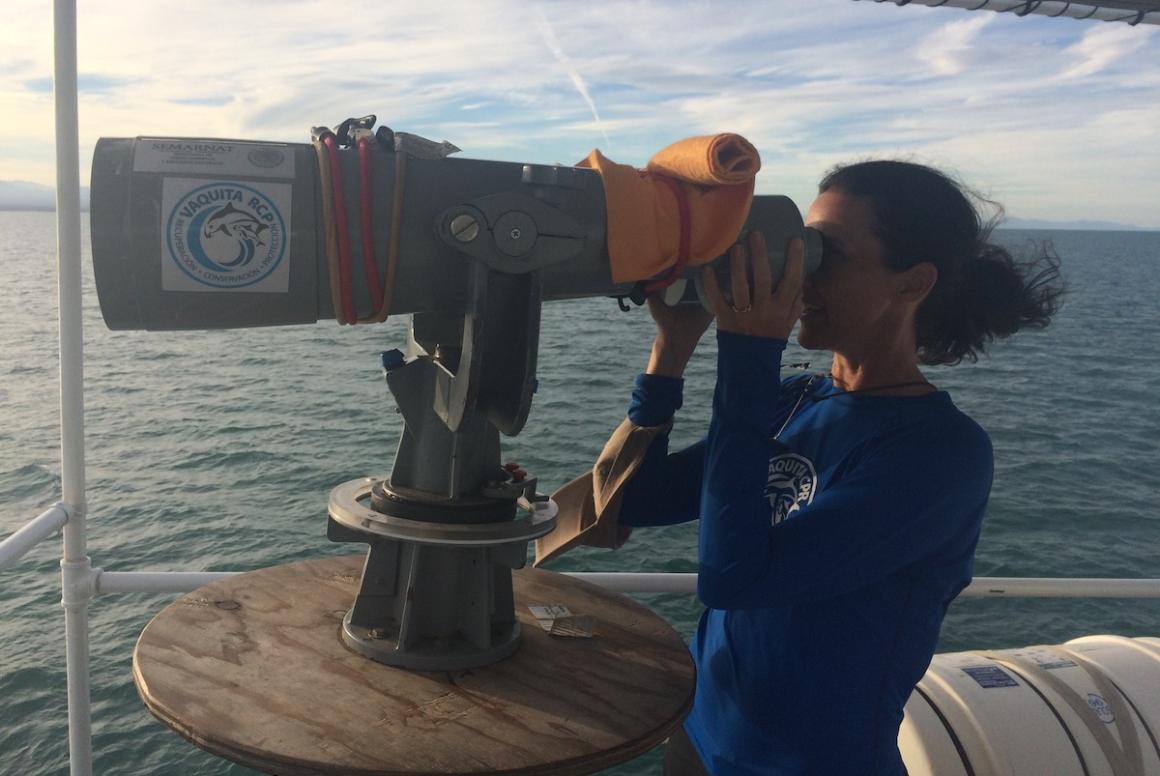 Woman looks through high-powered binoculars mounted on top of a spotting vessel to find critically endangered vaquita porpoises in the Sea of Cortez during a rescue attempt.