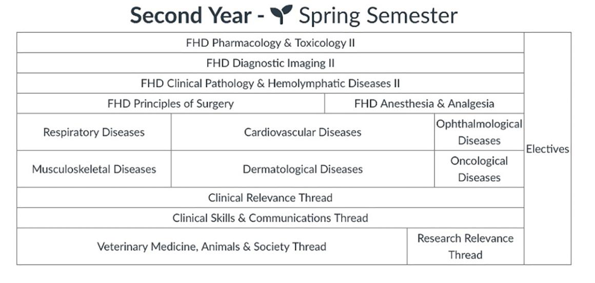 a black and white graphic of second year spring semester classes