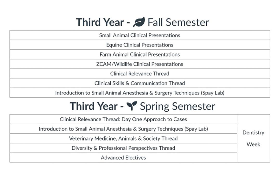 a black and white graphic of third year fall and spring semester classes