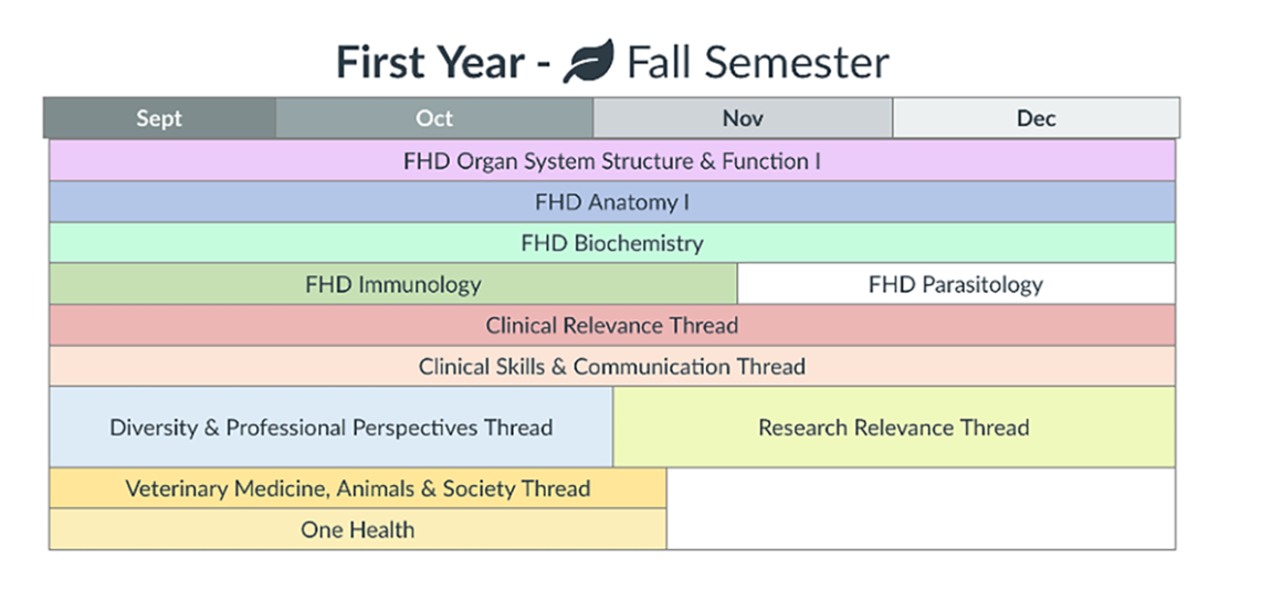 a multi-colored graphic of First Year Fall Semester Classes