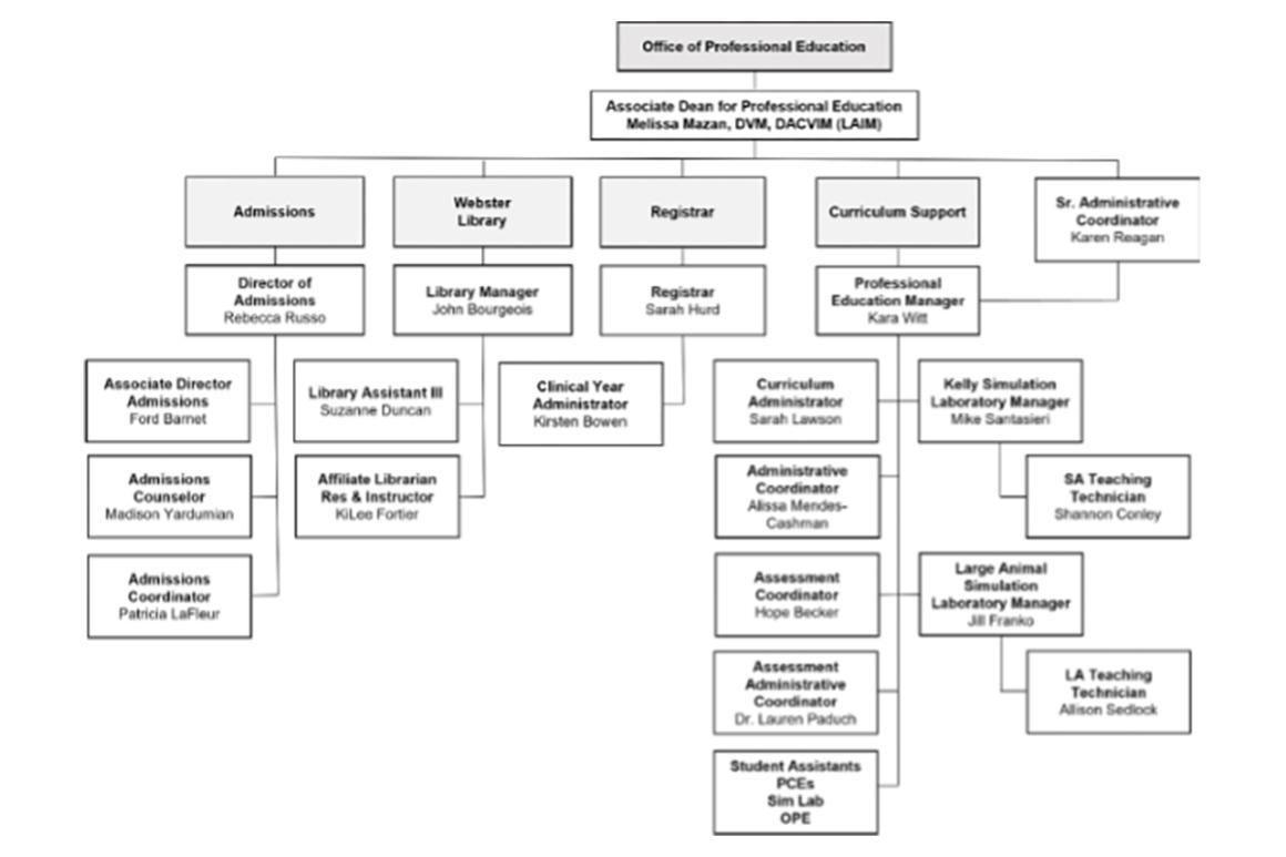 Office of Professional Education Organizational Staff Chart
