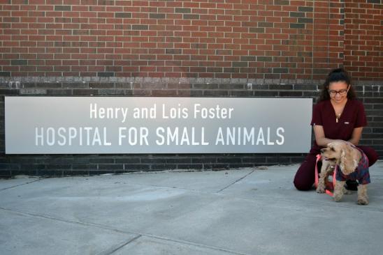 Alexandra Awad V24, she/her, kneeling down petting a small dog in from the Henry and Lois Foster Hospital for Small Animals sign