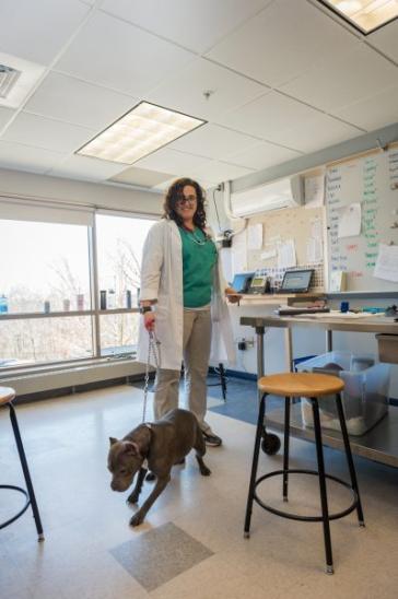 Student with client's dog at Tufts at Tech