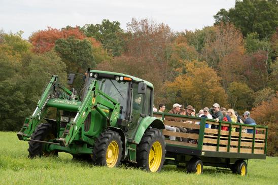 Visitors traveled through Cummings School Farm aboard a tractor, seeing cows, sheep, and various bird species.