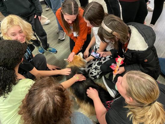 group of middle school students meet a corgi dog