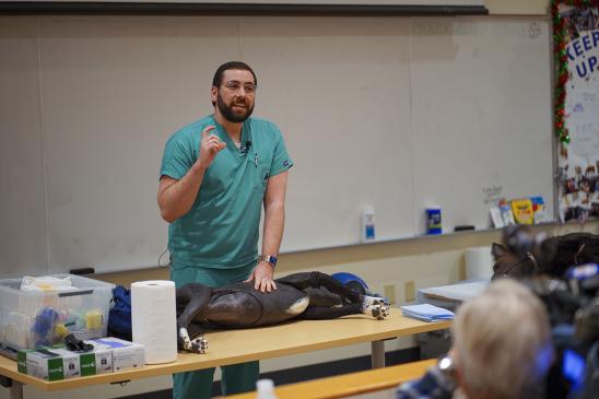 The Joseph Kelley, D.V.M. Simulation Laboratory Manager Mike Santasieri demonstrating canine CPR during a training session.
