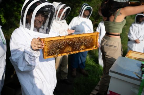 one individual wearing full beekeeping gear holds a super frame of bees