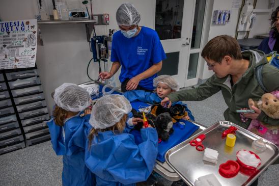 Three young individuals dressed in scrubs pretend to be veterinarians in a clinic setting..