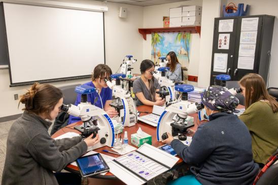 Students look into microscopes.