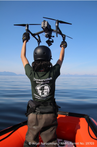 A person catching a drone returning to the zodiac research vessel