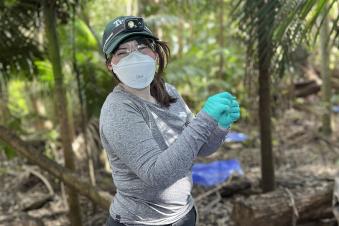  Person with a white mask and a green hat with a headlamp on and gloves outside in the woods.