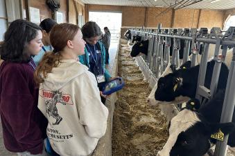 High school students standing in a barn looking at the black and white cows eating.