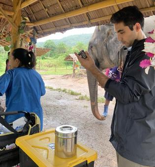 A veterinary student is preparing anti-parasitic medications for an elephant that was part of our EEHV sampling project and was suspected to be infected with parasites.