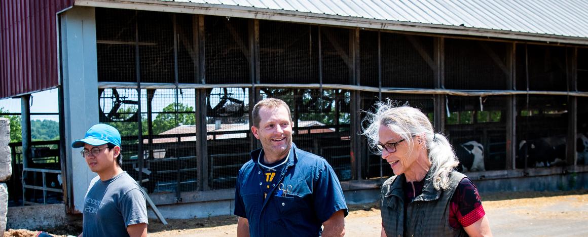 field veterinarian walking with young man and woman on a bovine farm