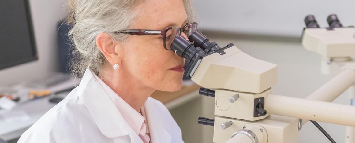 Scientist looking in a microscope