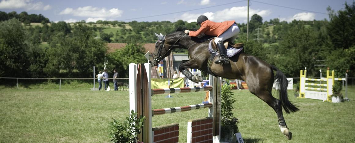A rider and their horse jumping a hurdle