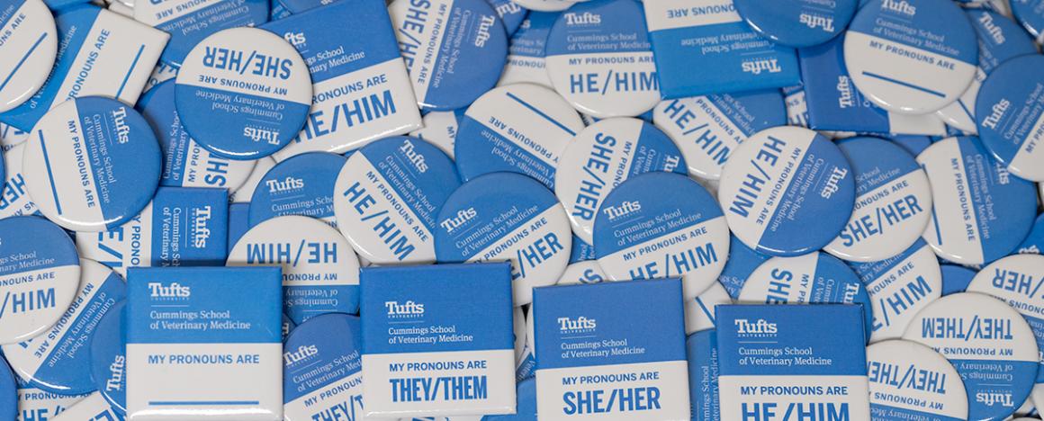 A pile of blue and white pins with pronouns printed on them