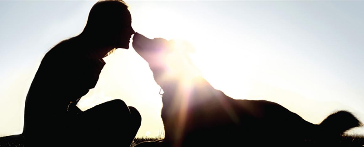 A silouhette of a person and dog touching nose to nose