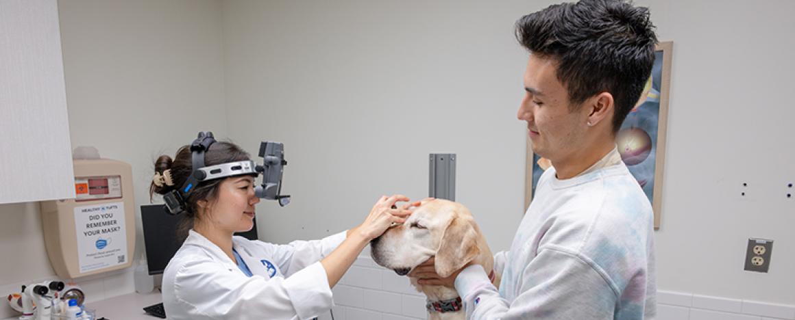 a veterinary ophthalmologist examining a dogs eye while held by the owner.