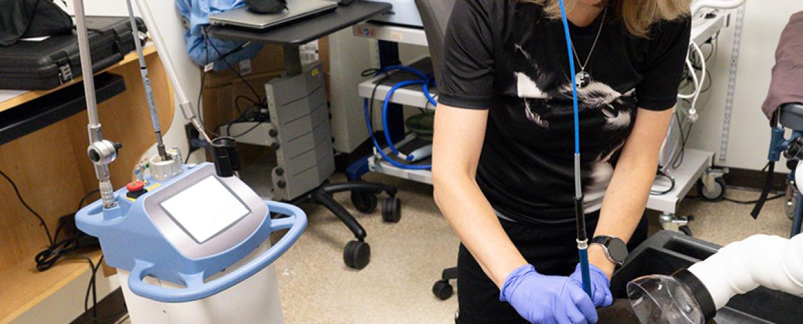 a veterinarian examining a dog.