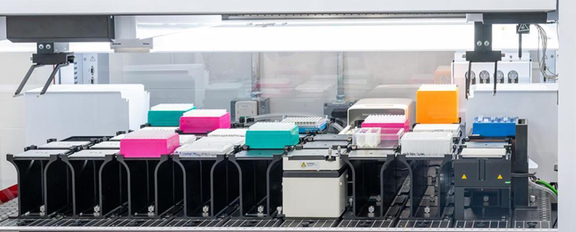 Samples in a research lab.