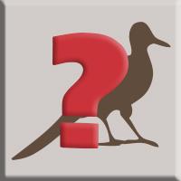 Silhouette of bird with red question mark over it