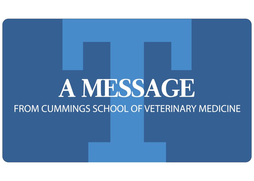 Text reading " A message from Cummings School of Veterinary Medicine" on a blue background.