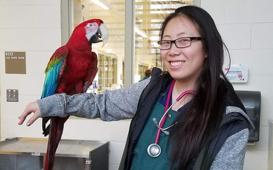 Photo of Petty Kim with a parrot on her outstretched arm.