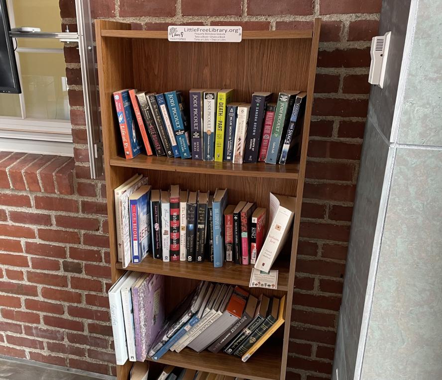 Picture of bookshelf for the new Free Small Library.