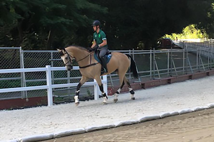 Man riding a horse during the Equestrian events of the Tokyo Olympics 