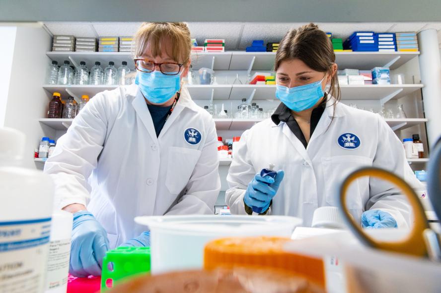 Dawn Meola, Research Assistant, and Elissa Williams, Research Assistant, work at a bench in the Yang Lab. 