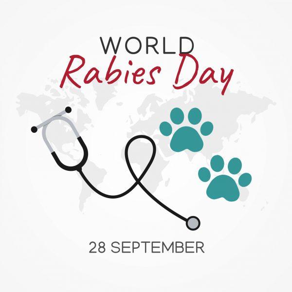 World Rabies Day Vector Illustration of paw prints and a stethoscope 