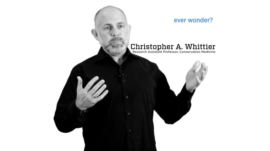 Photo of Christopher Whittier