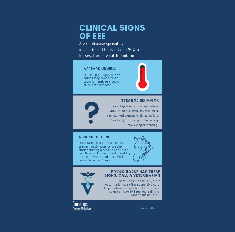 A poster with the signs of EEE on it