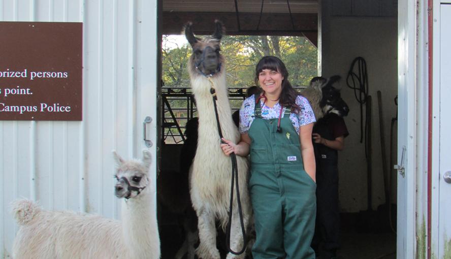 Kimberly Stein standing with an Alpaca 