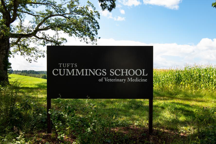 a picture of the Cummings School sign