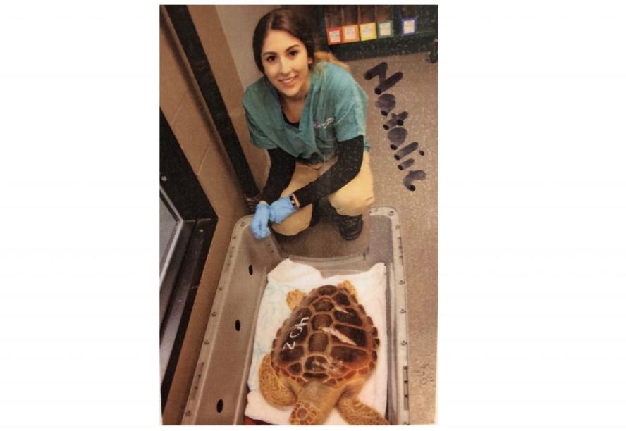Alumni Natalie Gutierrez with a turtle 