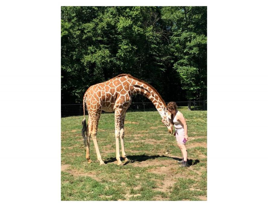 Alumni Ashley McCann petting the head of a giraffe 