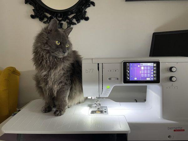 a dark gray cat with gold eyes sitting next to her owners sewing machine
