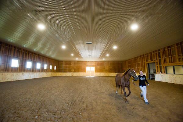 A veterinary technician leads a horse around the Equine Sports Medicine Complex at the Cummings School of Veterinary Medicine at Tufts University