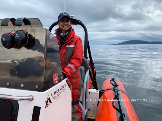 Anjali Narasimhan driving the zodiac research vessel scanning the waters for humpback whales