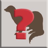 Silhouette of a mammal with a red question mark on top of it 